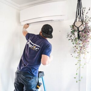 Technician in blue shirt and black cap installing a white split-type air conditioner unit on interior wall near hanging plants.